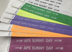 APS SUNNY DAY